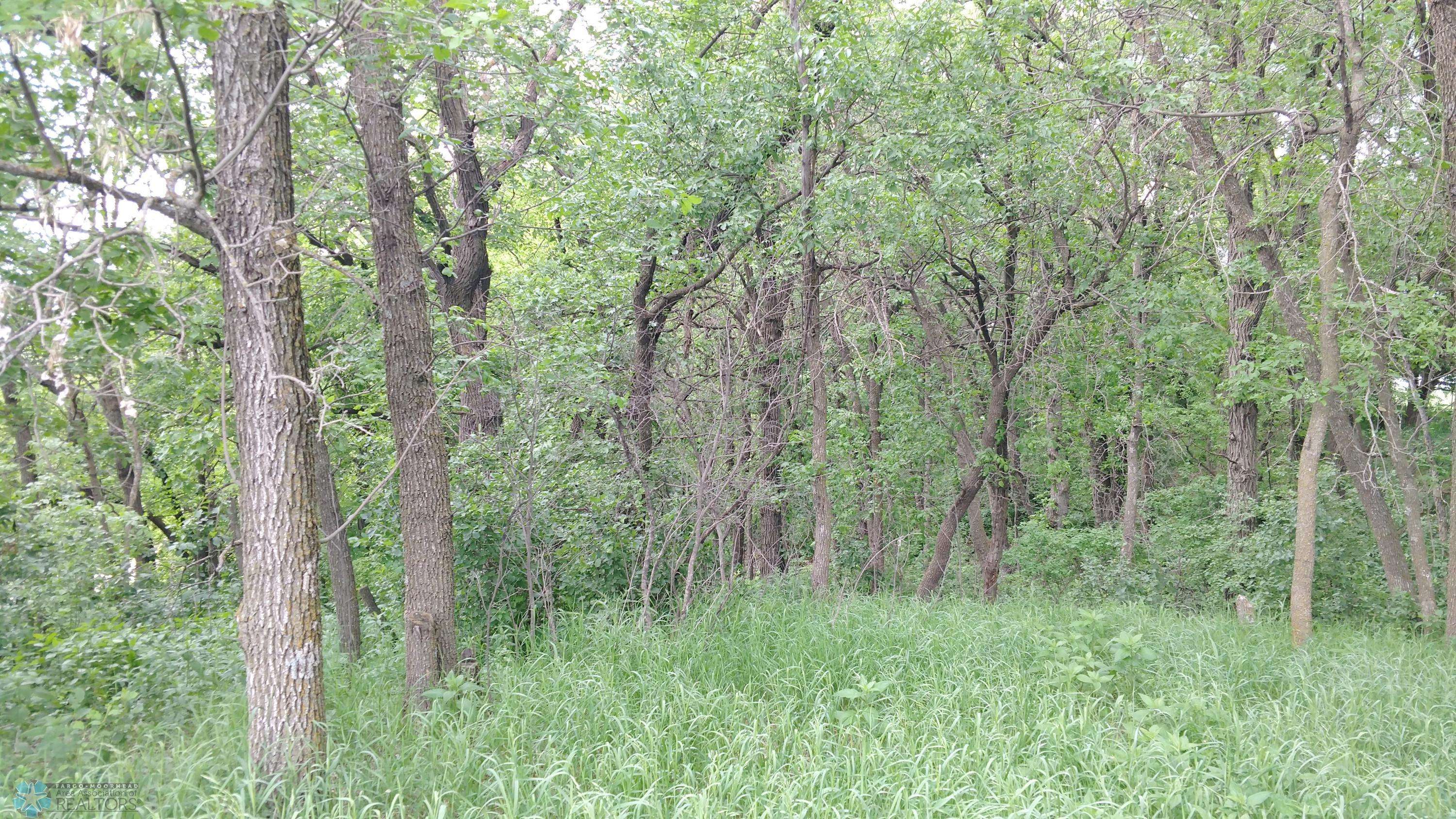 Fort Ransom, ND 58033,5822 VALLEY RD