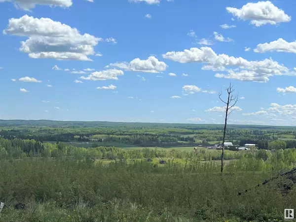 Rural Brazeau County, AB T0E 2H0,NE-26-49-6- W5