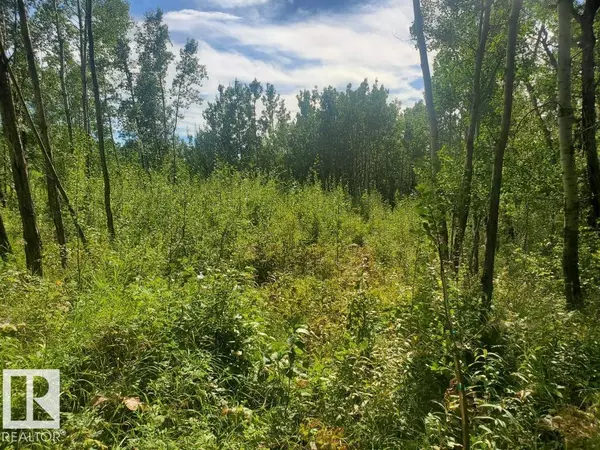 Rural Lac Ste. Anne County, AB T0E 1V0,9 55109 HWY 777