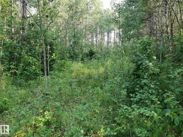 Rural Parkland County, AB T7Y 0A5,54015 Rge Rd 12