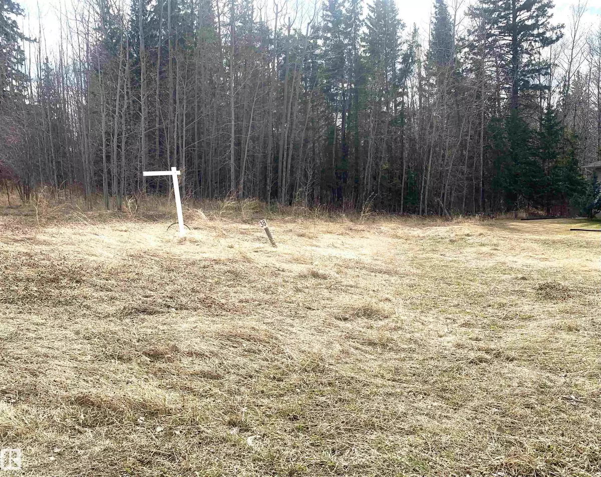 Rural Wetaskiwin County, AB T0C 2V0,114 Heron Point CL