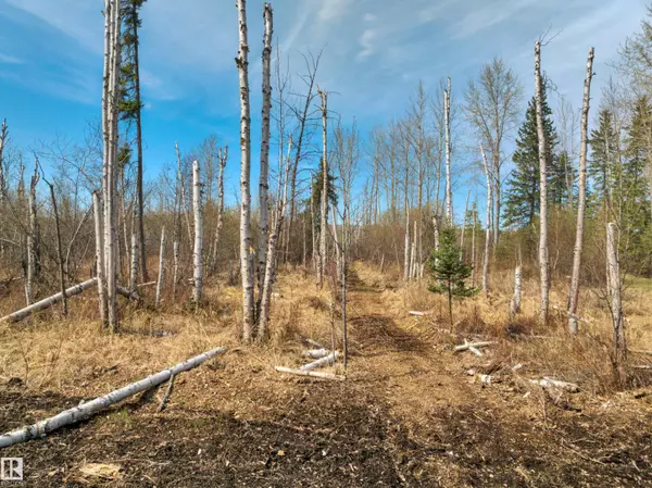 Rural Lac Ste. Anne County, AB T0E 0A1,#104 4418 HWY 633