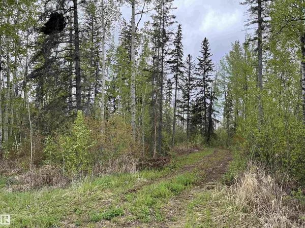 Glenevis, AB T0E 0X0,606 55504 Nikoodi RD