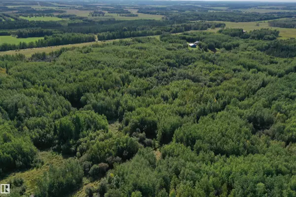 Rural Wetaskiwin County, AB T0C 2X0,On Township Road 463