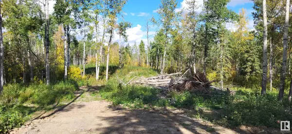 Rural Lac Ste. Anne County, AB T0E 0L0,5018B TRAIL OF 1898