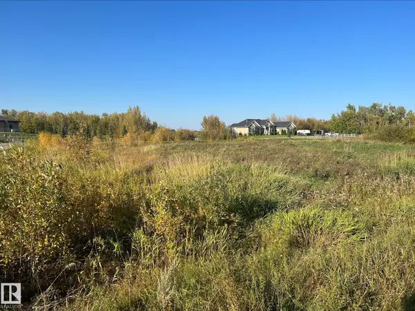 Rural Leduc County, AB T4X 0L4,#90 50535 RANGE ROAD 233