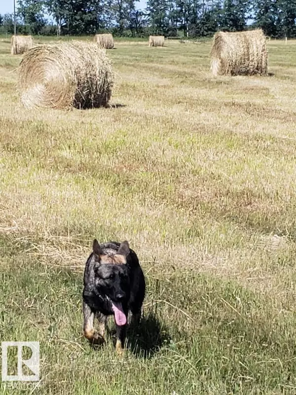 Rural Parkland County, AB T0E 0V0,RR 50 TWP 532 NONE