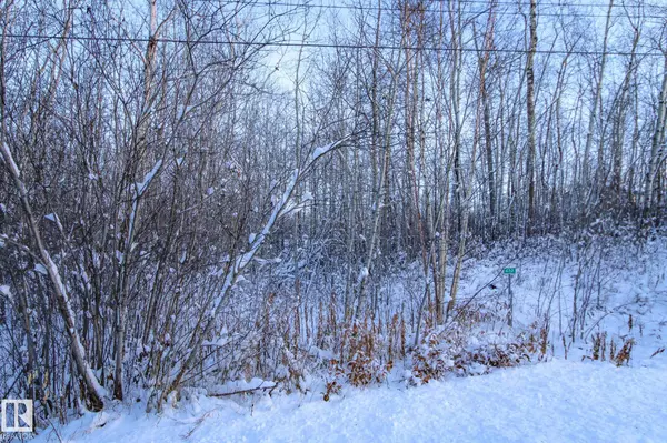 Rural St. Paul County, AB T0A 3A0,213 58532 Range Road 113