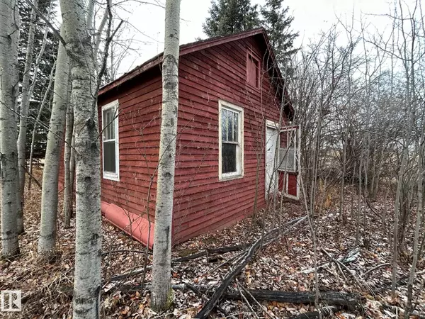 Rural Thorhild County, AB T0A 3J0,RR 231 Twp Rd 602