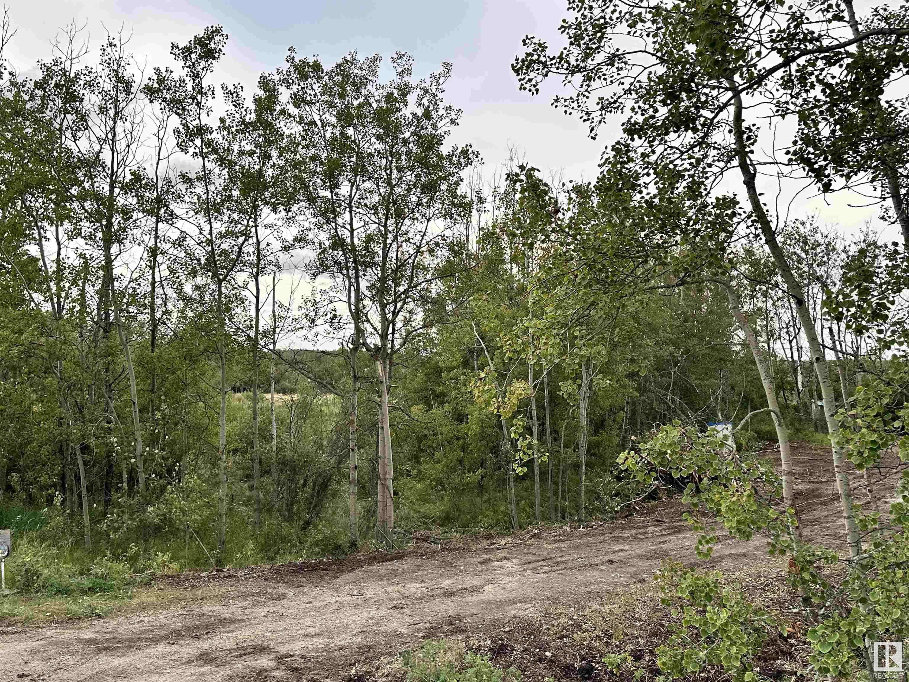 Rural Strathcona County, AB T8C 1H5,51538 RGE RD 225A