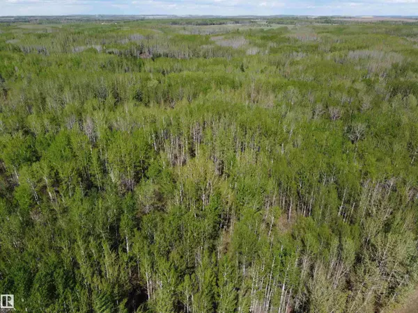 Rural Parkland County, AB T0E 2H0,4431 Township Road 504
