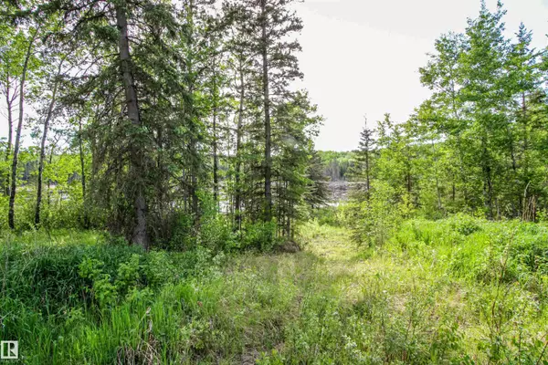 Rural St. Paul County, AB T0A 3A0,Sec HWY 881