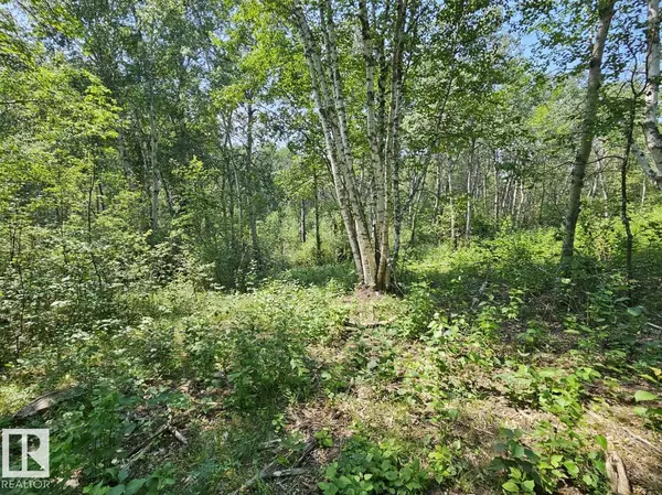 Rural Parkland County, AB T7Y 1E8,19 51124 RGE RD 264