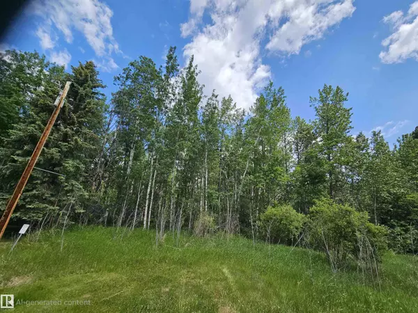 Rural Lac Ste. Anne County, AB T0E 0L0,82 4418 HWY 633