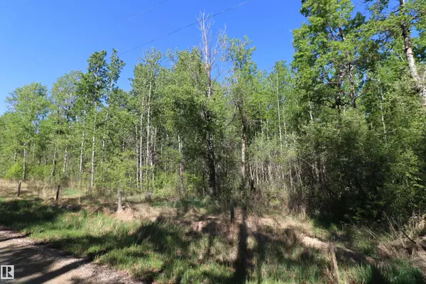 404 54411 RGE RD 40, Rural Lac Ste. Anne County, AB T0E 0A0