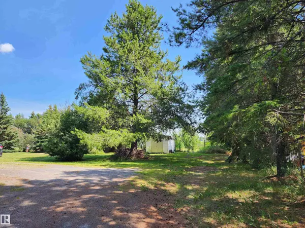 Thorsby, AB T0C 2P0,5409 50 ST