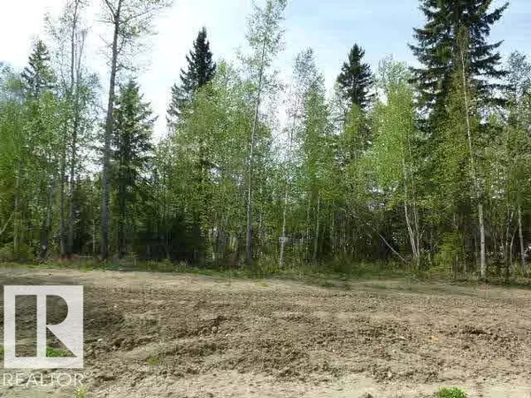 Breton, AB T0C 0P0,11 Fraser DR