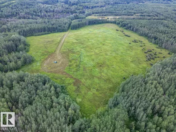 Rural Wetaskiwin County, AB T0C 2X0,NW-1-46-4-W5