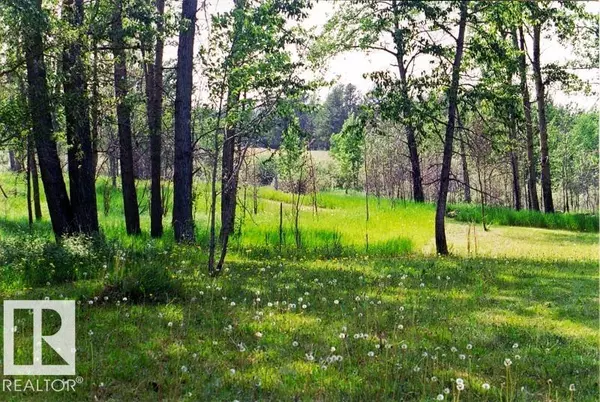 Rural Lac Ste. Anne County, AB T0E 1G0,HYW 43 RR 42