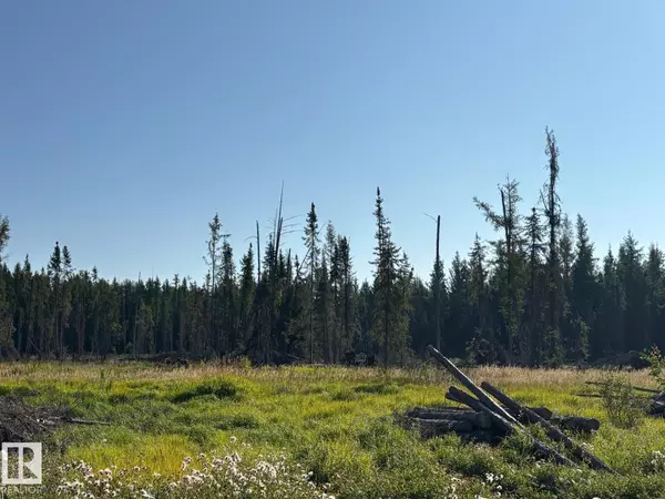 Rural Brazeau County, AB T7A 0C1,Range Road 83 TWP Rd 482