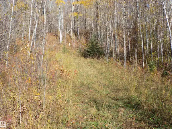 Rural Wetaskiwin County, AB T0C 2V0,TWP 463A RD