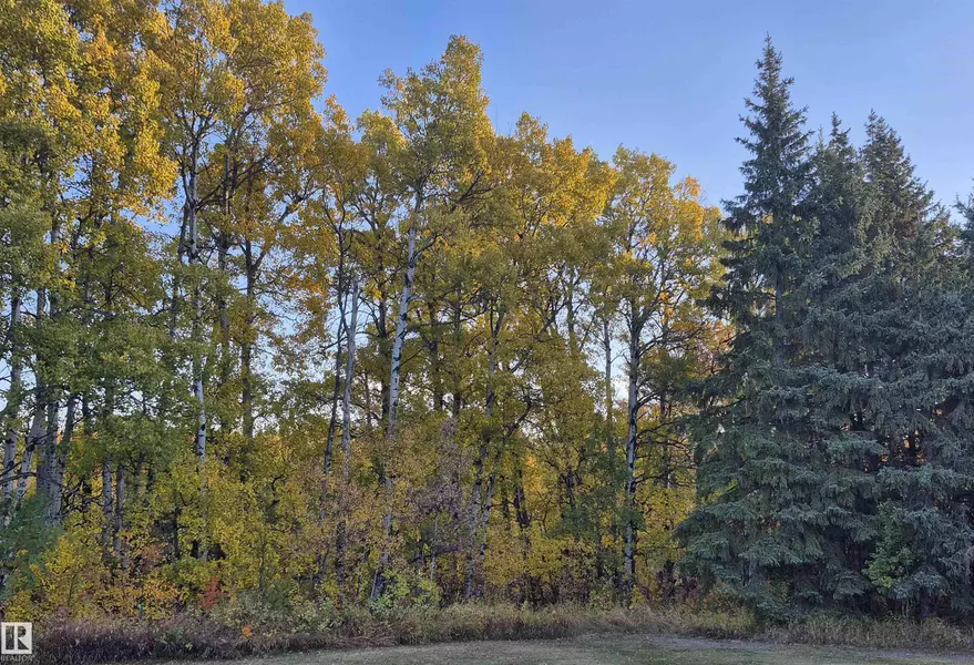 #49 50322 RGE ROAD 10, Rural Parkland County, AB T7Y 2A1