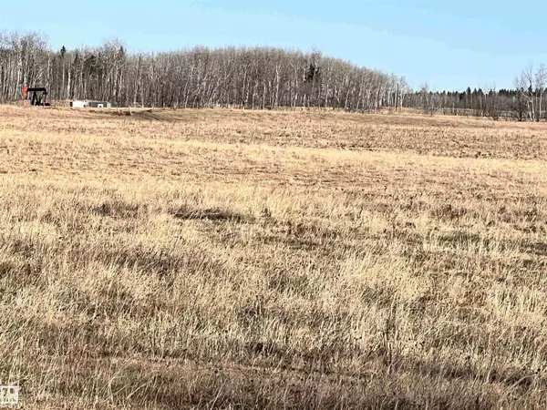 Rural Brazeau County, AB T0C 0W0,RR 51A TWP Rd 484