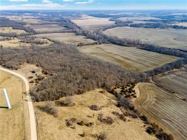 Dogwood, Browning, MO 64630