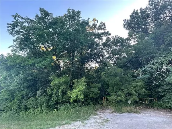 Lot 98 Block T RD, Lake Lotawana, MO 64086