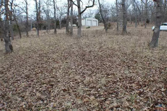 2 Lots Ronald RD, Warsaw, MO 65355