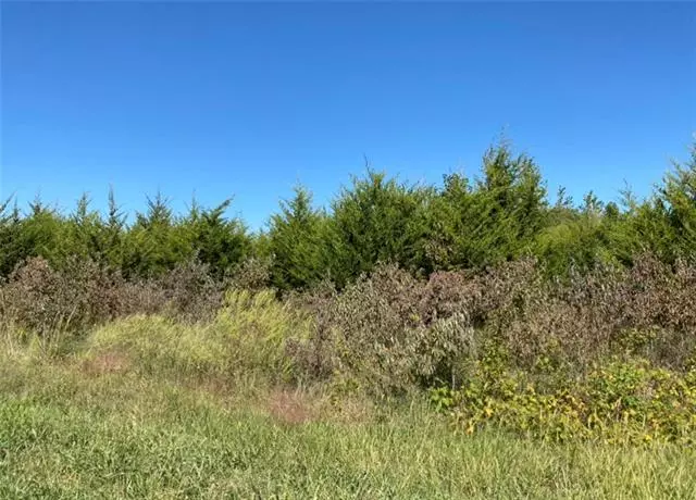 Linn Valley, KS 66040,17 Ravens Roost DR