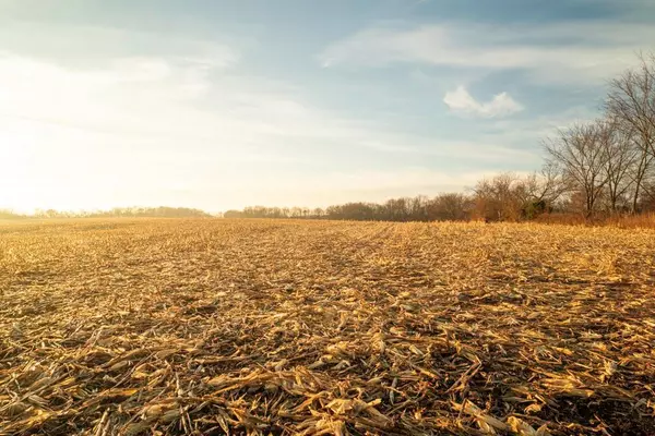 Tonganoxie, KS 66086,Hatchell RD