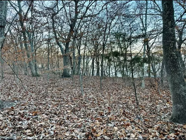 Ozawkie, KS 66070,9404 E Lakeshore DR