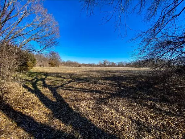 Odessa, MO 64076,TBD Golden Belt RD