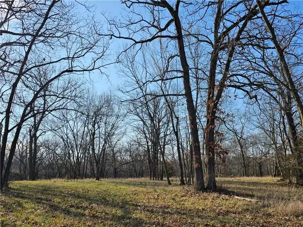 Bucyrus, KS 66013,10109 W 191st ST