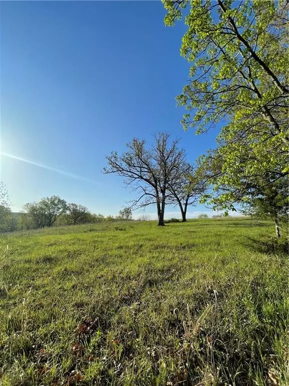 Lot 2 NW Thompson RD, Stewartsville, MO 64490