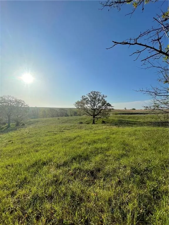 Lot 3 NW Thompson RD, Stewartsville, MO 64490