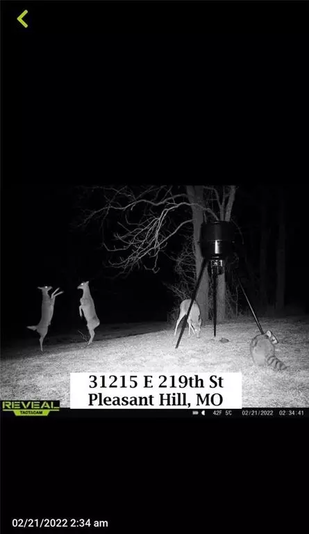 Pleasant Hill, MO 64080,31215 E 219th ST