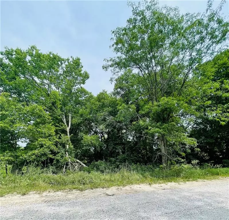 Excelsior Springs, MO 64024,Lot 137 & 138 Sharon CT