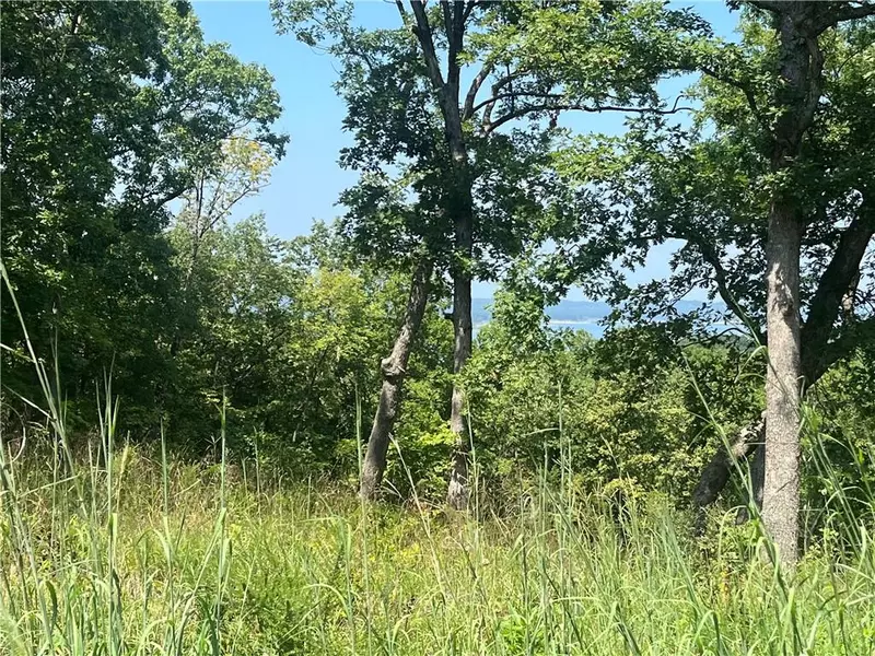 Tract 1(J-12) UU HWY, Warsaw, MO 65355