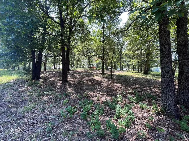 Tract 3 Gypsy RD, Warsaw, MO 65355