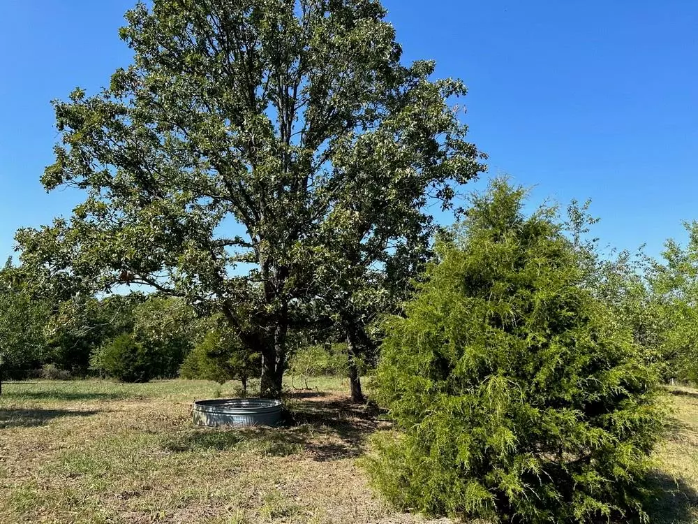 Collins, MO 64738,7980 SE 375 RD