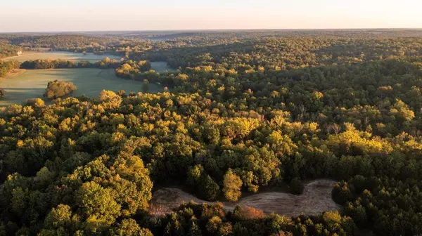 Collins, MO 64738,0000 SE 951 RD