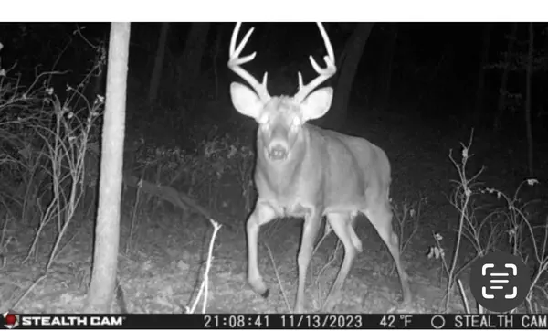 Amazonia, MO 64485,K Highway, 26-59-36 SW4 NW4 HWY