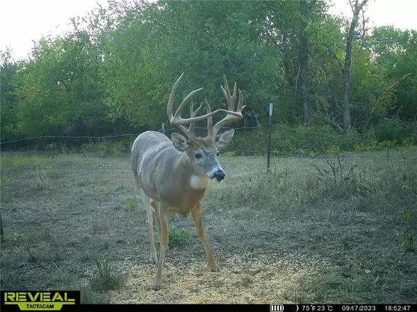 Rantoul, KS 66860,1896 Texas RD