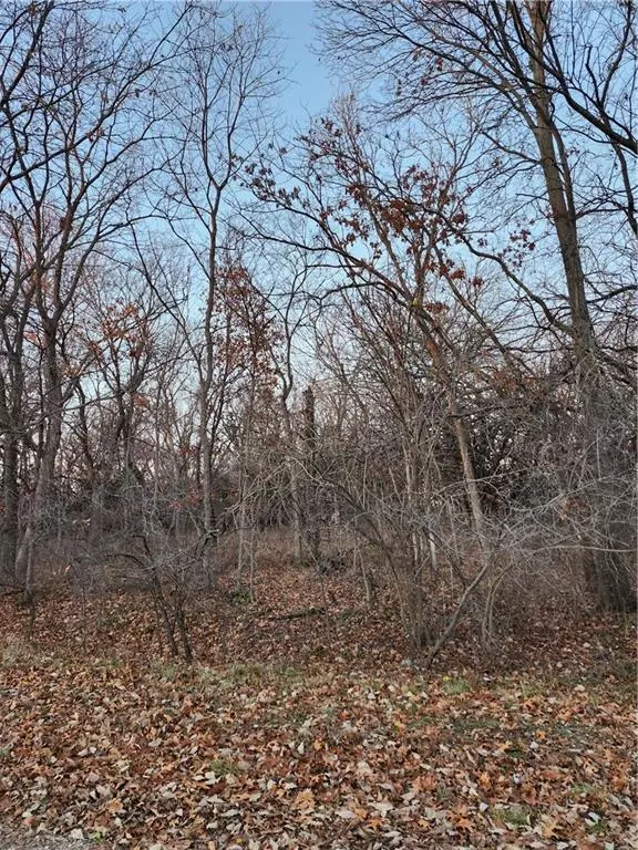 Linn Valley, KS 66040,169 Sycamore DR