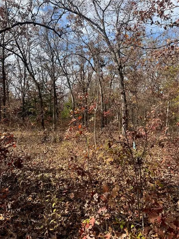 Warsaw, MO 65355,#3 Frieze ST