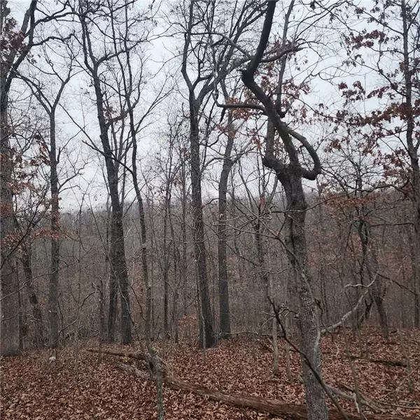 235 Starlight Cave RD, Macks Creek, MO 65786