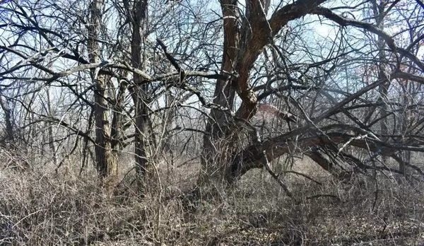 Cummings, KS 66016,0000 US-59 HWY