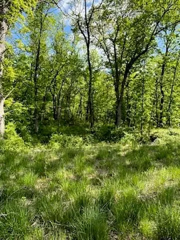 14714 S Timber View PL, Lone Jack, MO 64070